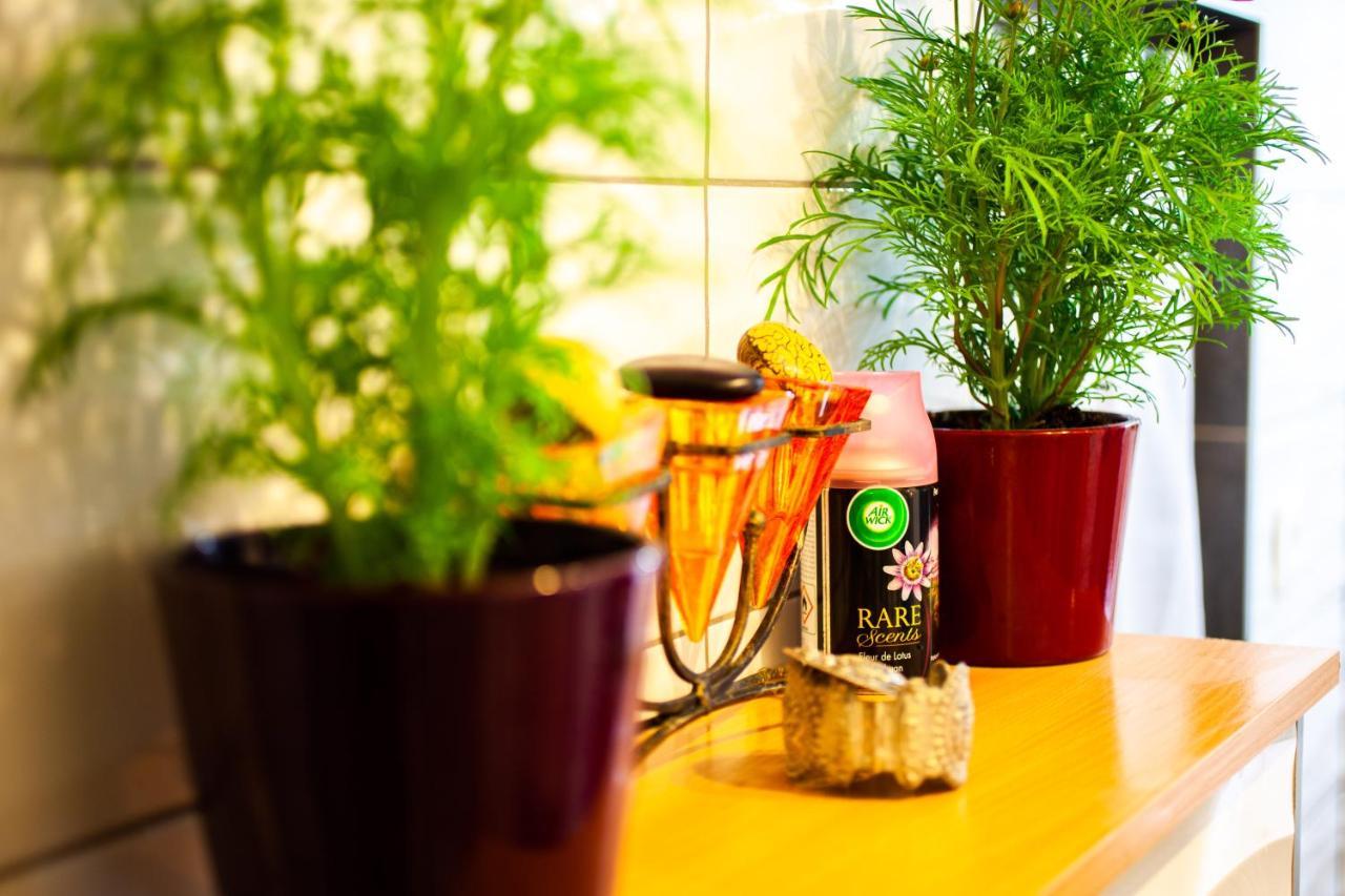 Appartamento Mirguet Au Jardin Saint-Elix-le-Chateau Esterno foto